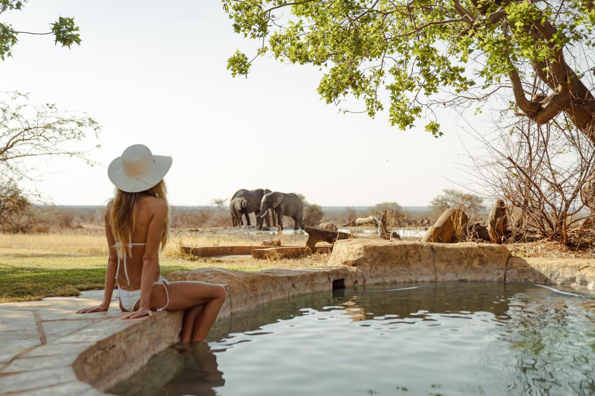 Last Word Madikwe Villa Madikwe Game Reserve Dış mekan fotoğraf