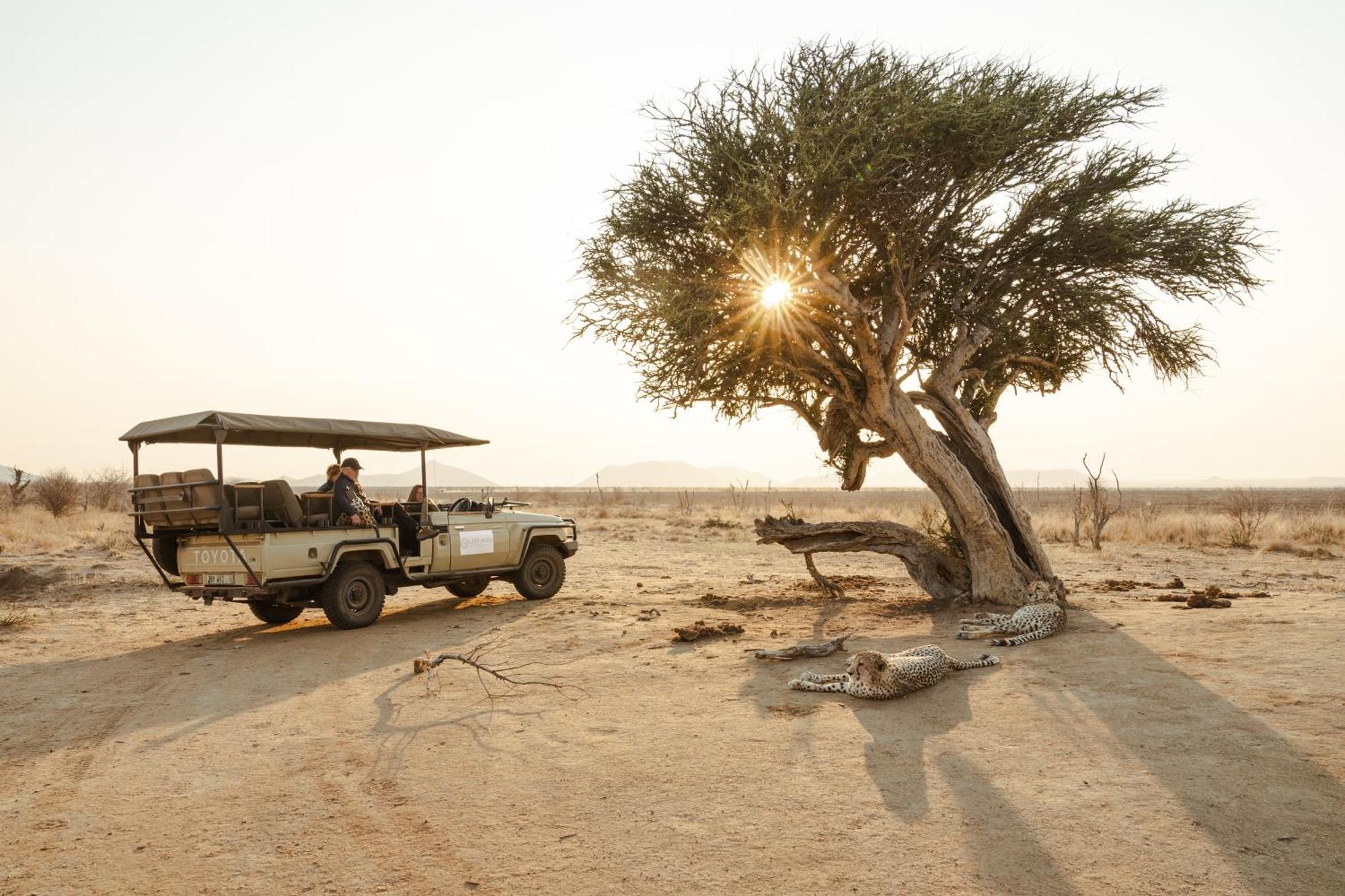 Last Word Madikwe Villa Madikwe Game Reserve Dış mekan fotoğraf