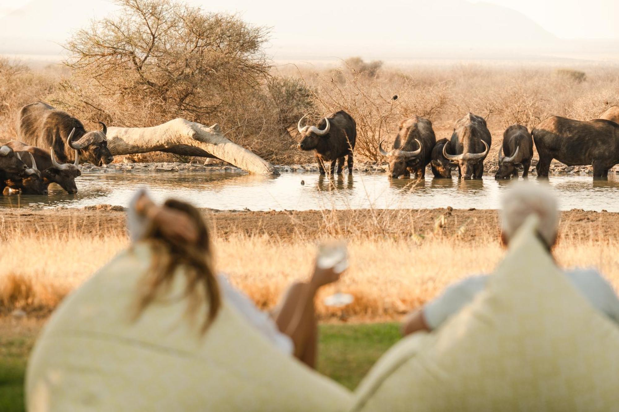 Last Word Madikwe Villa Madikwe Game Reserve Dış mekan fotoğraf