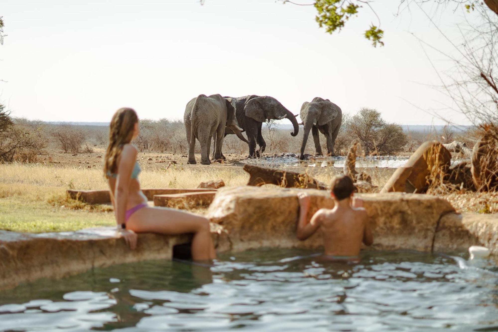 Last Word Madikwe Villa Madikwe Game Reserve Dış mekan fotoğraf