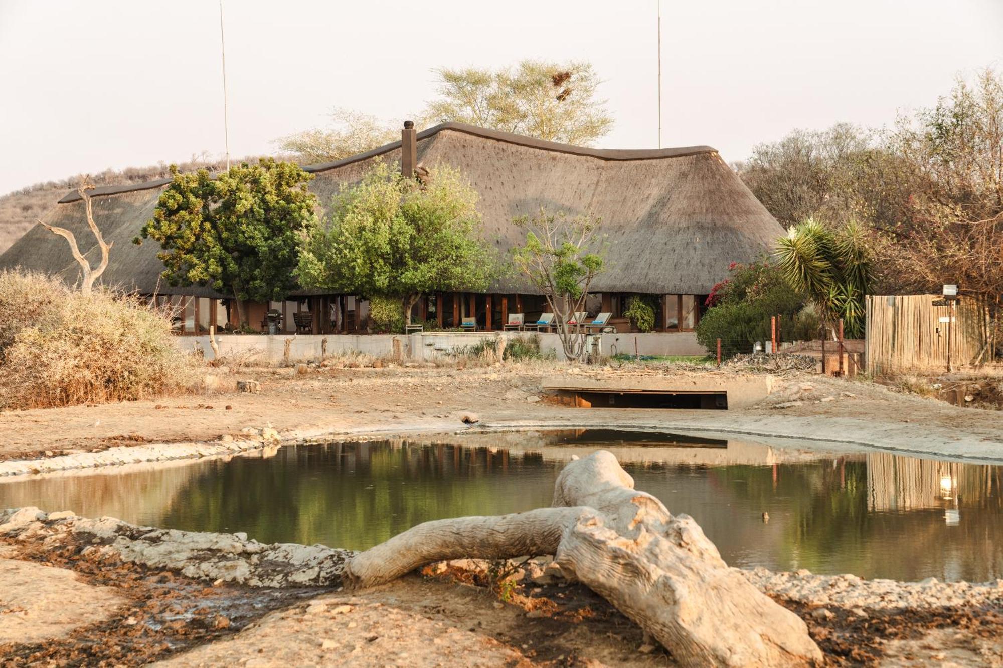 Last Word Madikwe Villa Madikwe Game Reserve Dış mekan fotoğraf